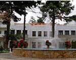 CEO’s Office Rejects  Parliamentary Election Date